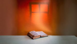 When Wisdom Doesn’t Mean What We Think It Means
